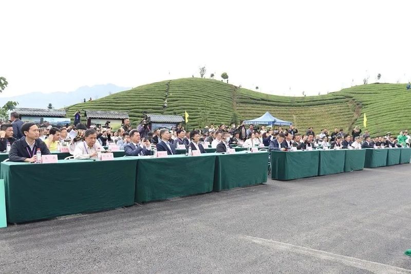 关于广开思路,聚焦国际茶业市场,这场盛会何以引起高度关注?的相关内容