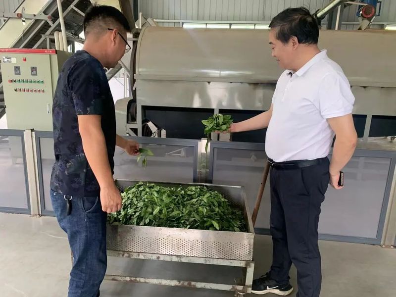 关于池州市政协副主席刘会秋赴小河镇调研茶叶产业发展的新闻(2)