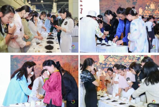 有关于2023“凤凰单丛茶”杯鼎承品茶师·中原斗茶大赛圆满落幕！的信息(8)