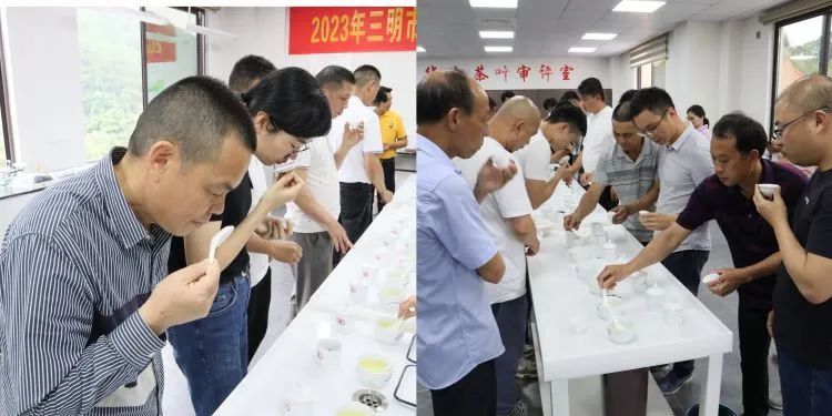 关于2023年三明市春季茶王赛完美落幕的相关内容(4)