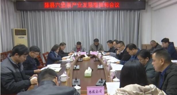 关于藤县“四注重”全力推进六堡茶产业做大做强的新闻(2)