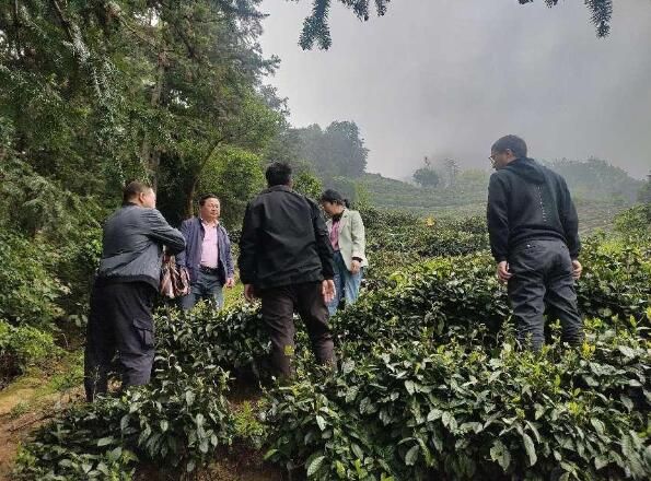 有关于歙县街口镇:以茶为媒 “老年课堂”进茶园的消息