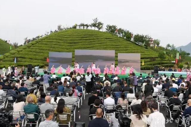 关于第五届湖北鹤峰茶商大会举行 6家外商下单12.4亿元的相关信息(1)