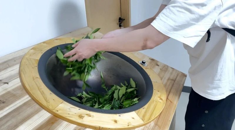 有关于以武夷茶为例,告诉你关于非遗“中国茶”的二三事的相关信息(17)