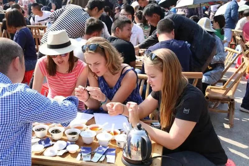 有关于以武夷茶为例,告诉你关于非遗“中国茶”的二三事的相关信息(14)