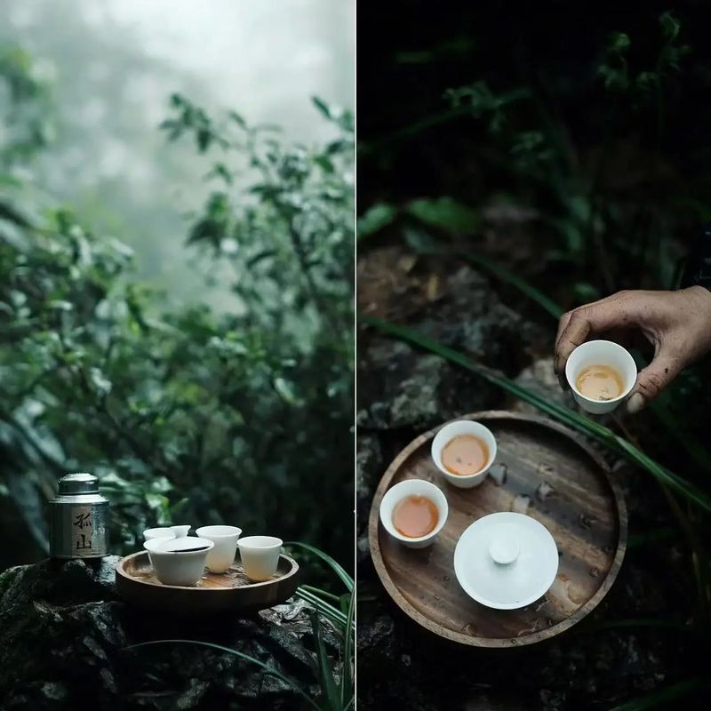 有关于以武夷茶为例,告诉你关于非遗“中国茶”的二三事的相关信息(6)