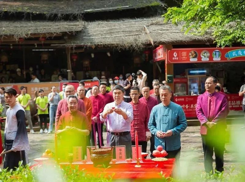 有关于以武夷茶为例,告诉你关于非遗“中国茶”的二三事的相关信息(11)