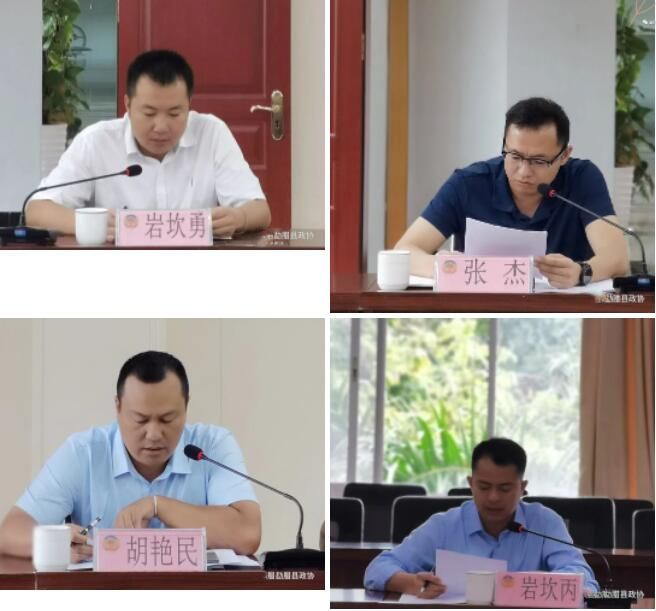 有关于勐腊县政协聚焦普洱茶产业高质量发展开展专题协商的相关信息(3)