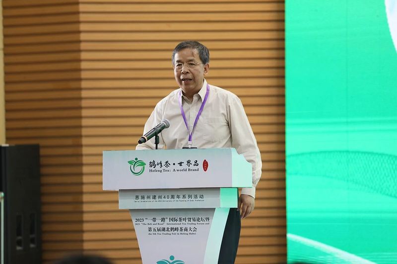 有关于领航茶叶出海，搭建交流平台——2023“一带一路”国际茶叶贸易论坛暨第五届湖北（鹤峰）茶商大会在湖北鹤峰举办的消息(9)