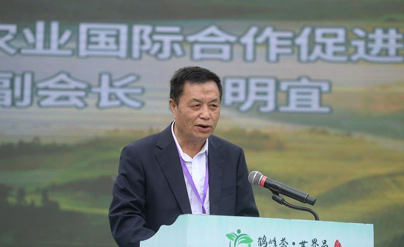 有关于领航茶叶出海，搭建交流平台——2023“一带一路”国际茶叶贸易论坛暨第五届湖北（鹤峰）茶商大会在湖北鹤峰举办的消息(3)