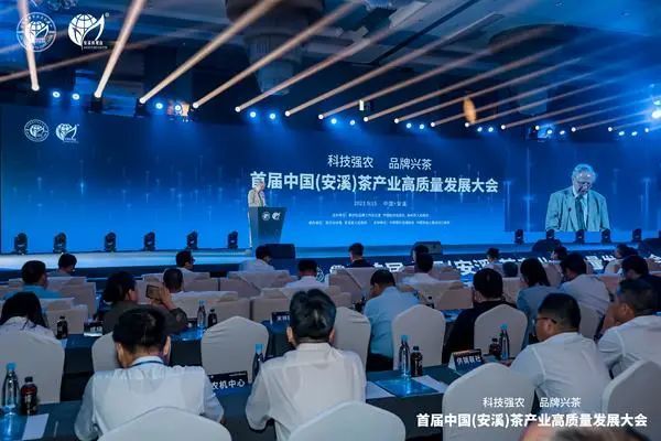 关于国际茶叶委员会主席伊恩·吉布斯:安溪茶产业链为世界茶业树立了标杆的最新消息(1)