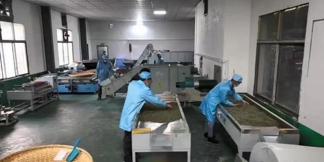 有关于紫阳:做强做大富硒茶产业 让一方百姓富起来的资讯(5)