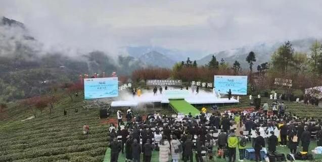 有关于紫阳:做强做大富硒茶产业 让一方百姓富起来的资讯(1)