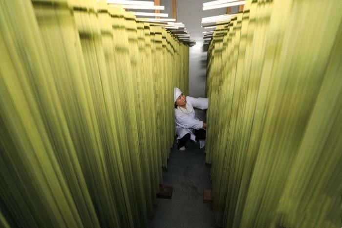 关于贵州江口:抹茶面条加工忙的最新消息(1)