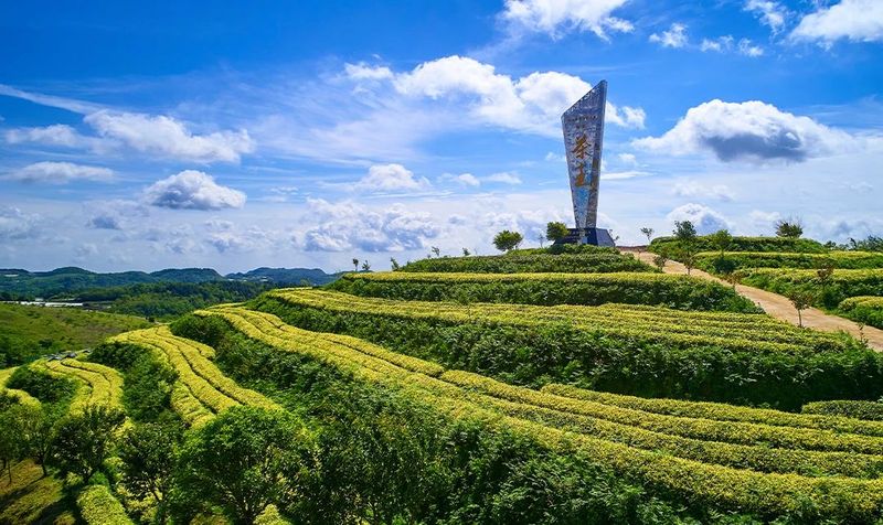 关于十年磨一剑,“黄红缨”终于登上“中国品牌”这个大舞台的信息(4)