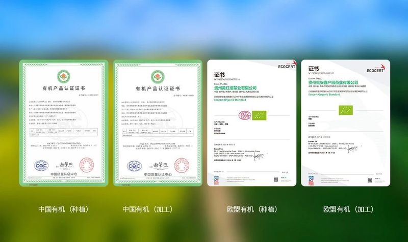 关于十年磨一剑,“黄红缨”终于登上“中国品牌”这个大舞台的信息(2)