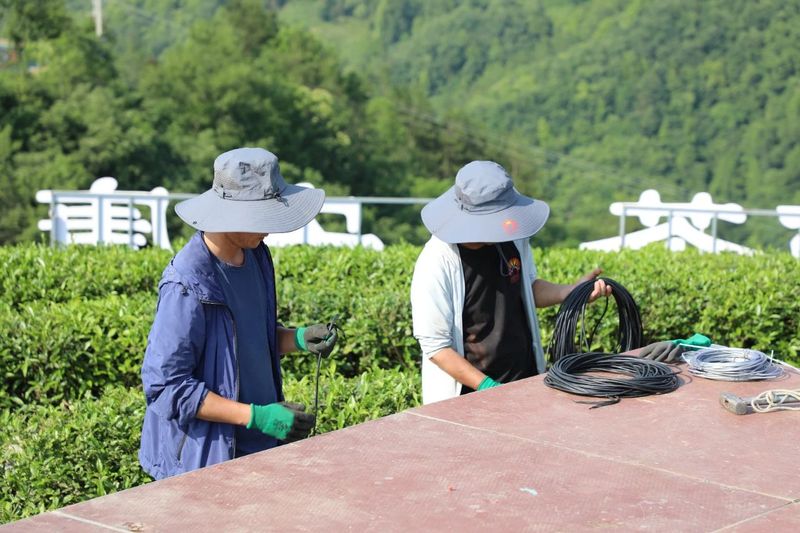 有关于2023年“国际茶日”中国主场活动各项筹备工作有序推进!的相关信息(1)