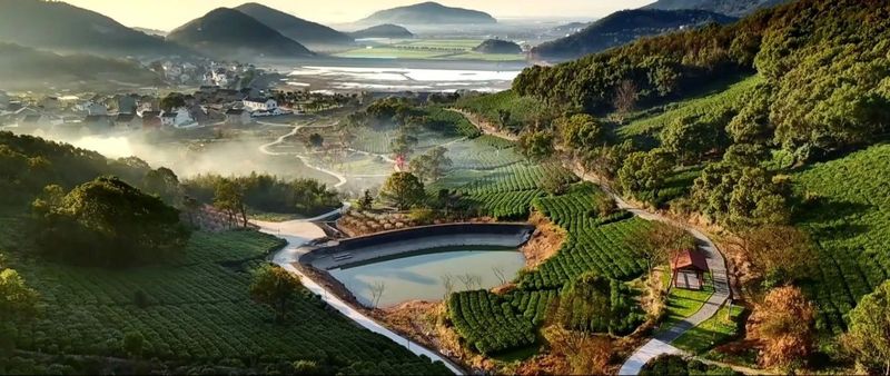 有关于浙江省展团篇  第五届中国国际茶叶博览会优选展商的相关信息(13)