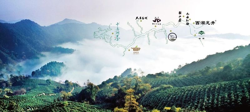 有关于浙江省展团篇  第五届中国国际茶叶博览会优选展商的相关信息