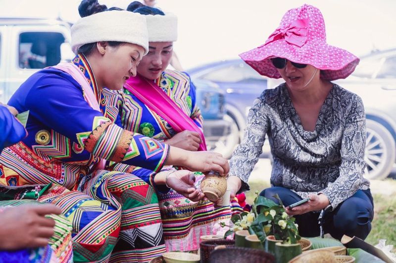 有关于六大茶山的新闻(7)