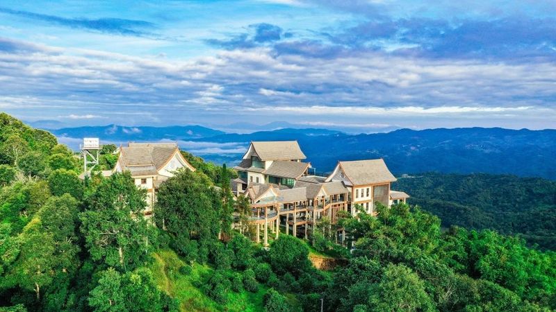 有关于六大茶山的新闻(2)