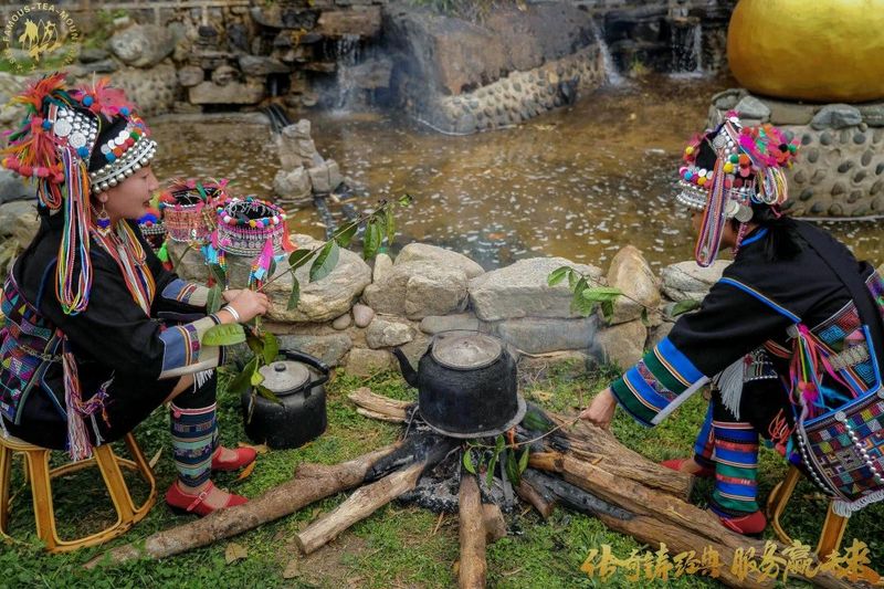 有关于六大茶山的新闻(11)