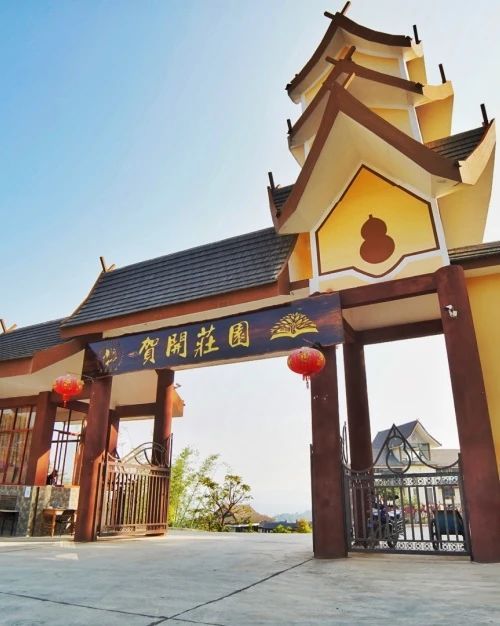 有关于六大茶山的新闻