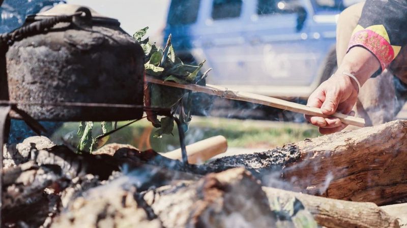 有关于六大茶山的新闻(10)