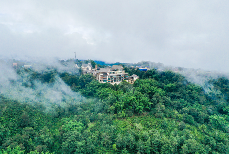 有关于六大茶山的新闻(1)