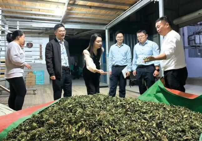 有关于数字金融“贷”动闽茶飘香的信息(1)