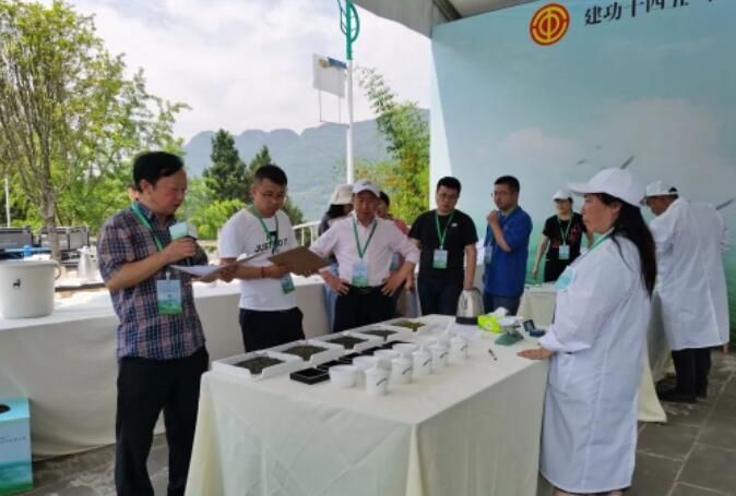 有关于巴中市第二届茶叶产业职工职业技能大赛在通江县召开的相关内容(5)