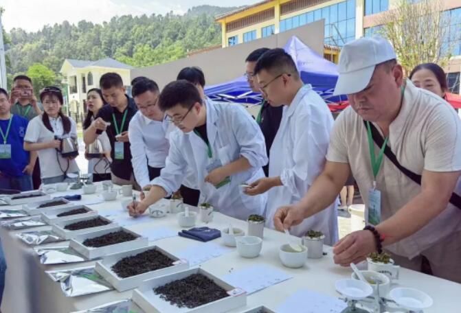 有关于巴中市第二届茶叶产业职工职业技能大赛在通江县召开的相关内容(4)