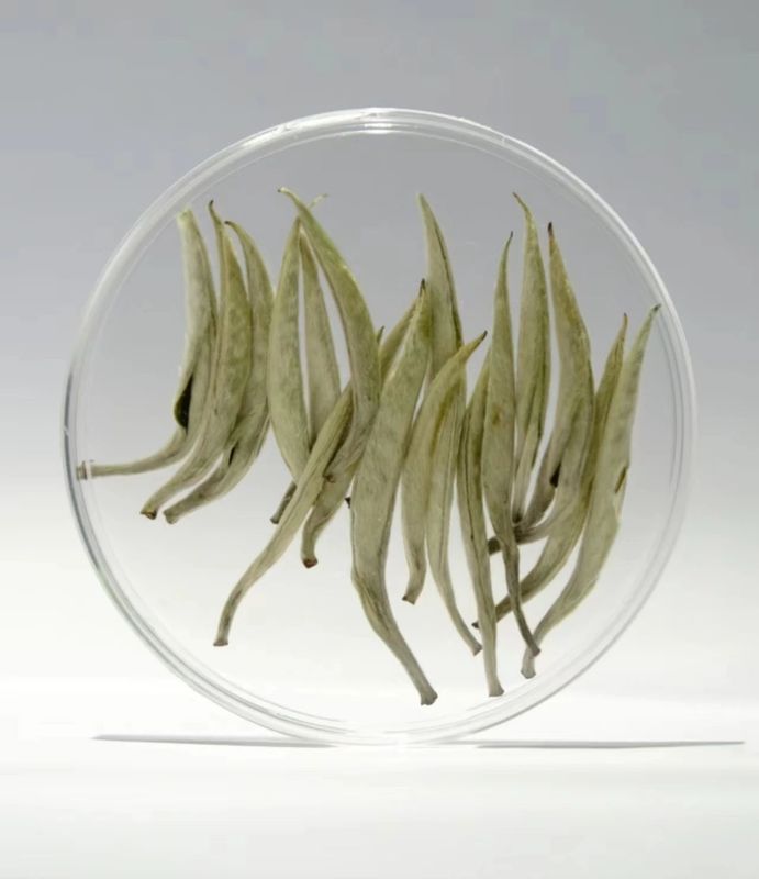 关于老茶种 焕金颜 ——“红色汝城 白毛茶香”2023首届中国汝城白毛茶文化节开幕的相关信息