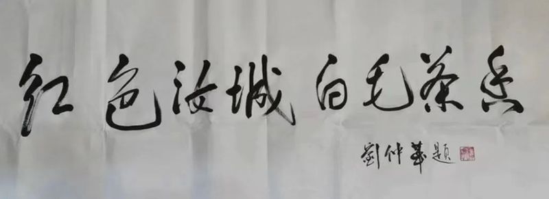 关于老茶种 焕金颜 ——“红色汝城 白毛茶香”2023首届中国汝城白毛茶文化节开幕的相关信息(3)