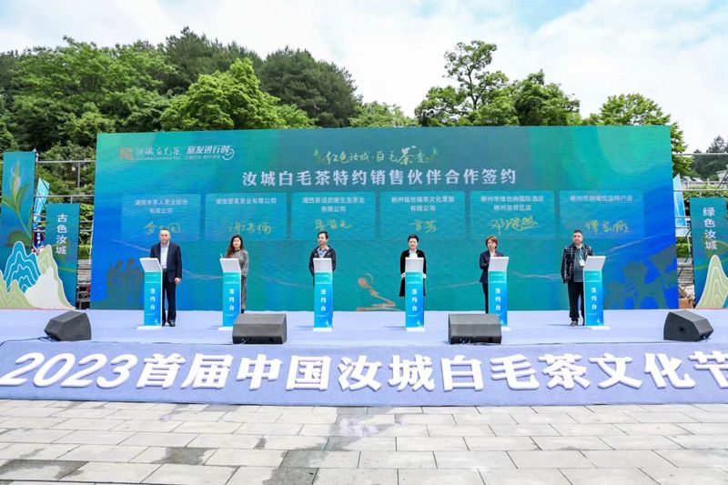 关于老茶种 焕金颜 ——“红色汝城 白毛茶香”2023首届中国汝城白毛茶文化节开幕的相关信息(10)
