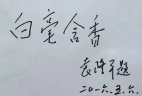 关于老茶种 焕金颜 ——“红色汝城 白毛茶香”2023首届中国汝城白毛茶文化节开幕的相关信息(2)