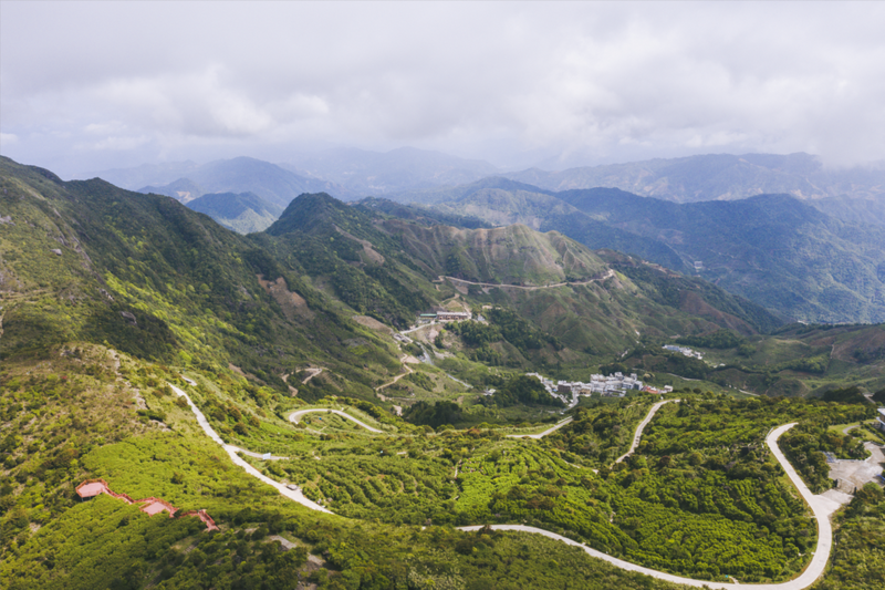 关于单丛茶韵千年,粤茶香满天下 2023潮州工夫茶大会开幕的新闻(4)