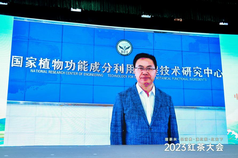 关于凤庆滇红茶，飘香红天下——2023红茶大会盛大开幕的内容(5)