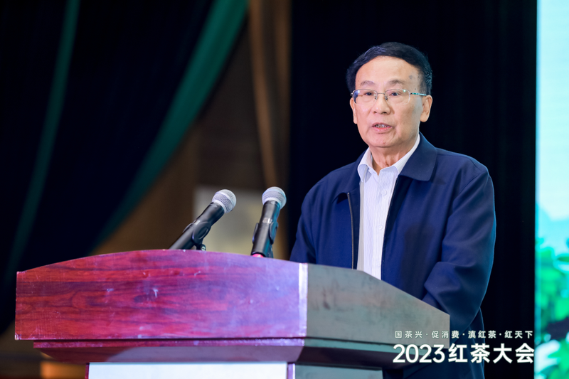 关于凤庆滇红茶，飘香红天下——2023红茶大会盛大开幕的内容(3)