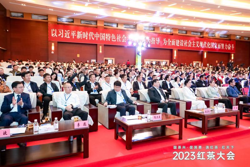 关于凤庆滇红茶，飘香红天下——2023红茶大会盛大开幕的内容(1)