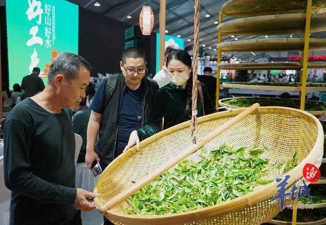 关于潮州获“世界工夫茶文化之乡”称号!2023潮州工夫茶大会今日开幕的内容(1)