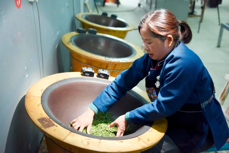 关于荔波梅桃村:做好“茶文章” 助农致富奔小康的相关内容(2)