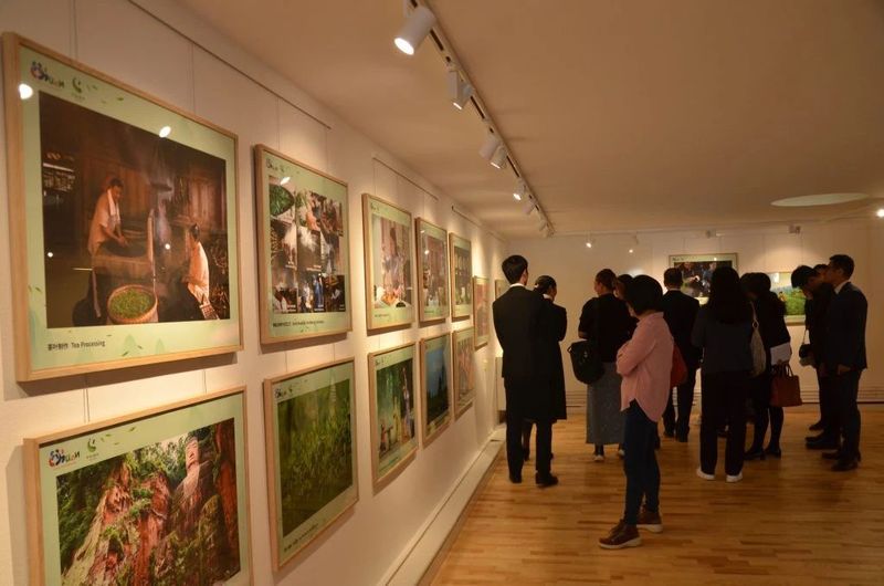 关于川茶雅韵飘香斯德哥尔摩的内容(14)