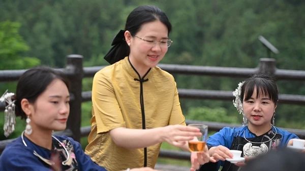 关于张家界武陵源：“茶叶”变“金叶”生态茶园走出乡村振兴新模式的内容(9)