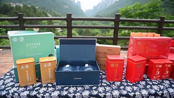 关于张家界武陵源：“茶叶”变“金叶”生态茶园走出乡村振兴新模式的内容(8)