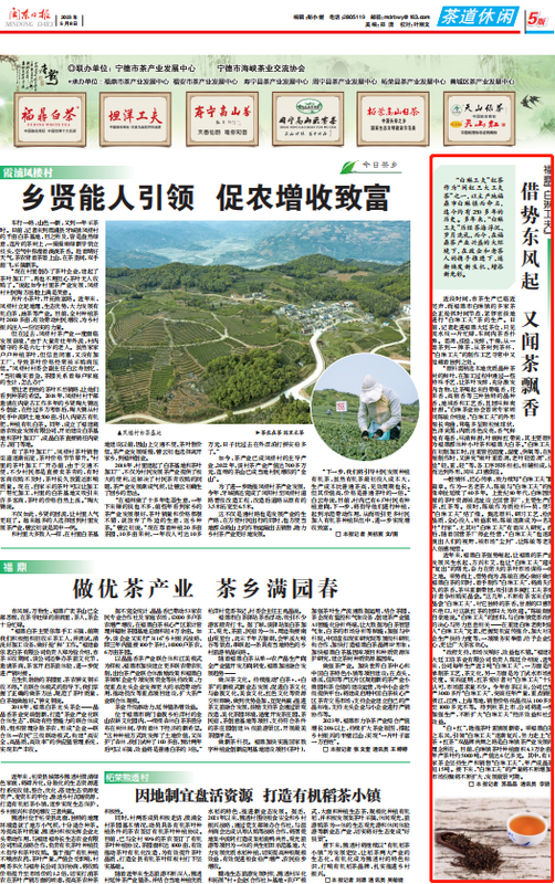 关于福鼎“白琳工夫”：借势东风起 又闻茶飘香的信息