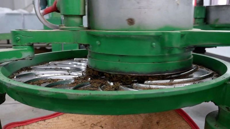 关于福鼎“白琳工夫”：借势东风起 又闻茶飘香的信息(2)