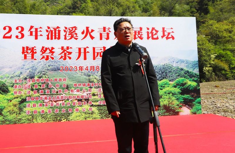 关于历史名茶涌溪火青今日开园的消息(2)