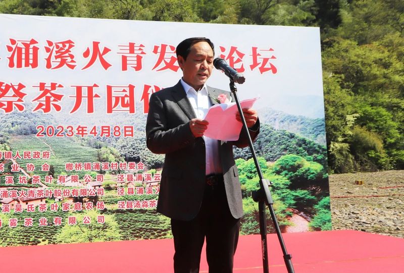 关于历史名茶涌溪火青今日开园的消息(4)