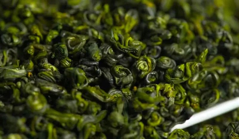 关于历史名茶涌溪火青今日开园的消息(9)